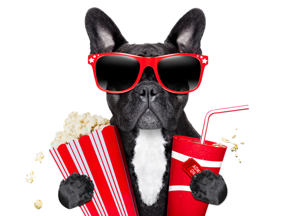 Assistir TV ao vivo